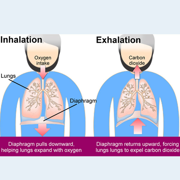 Lung-Expansion